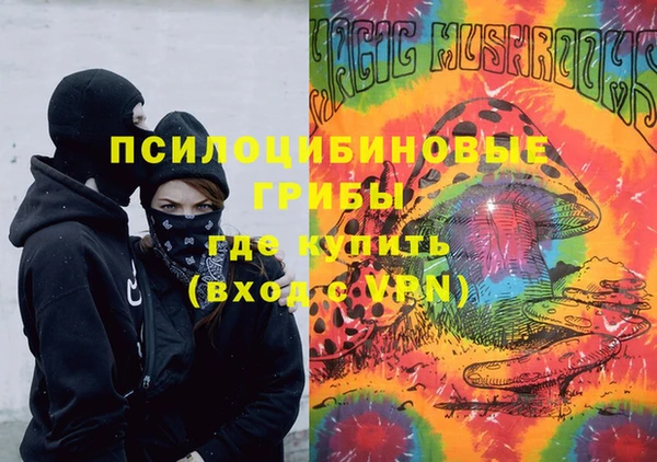 тгк Алексин
