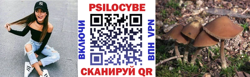 Галлюциногенные грибы MAGIC MUSHROOMS  Хотьково 